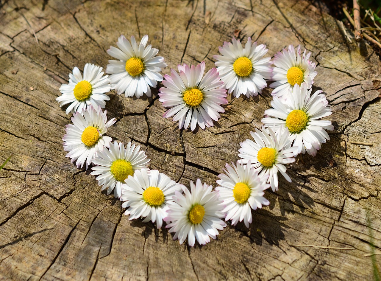 遺品整理をするために覚えておきたい3つの心構え