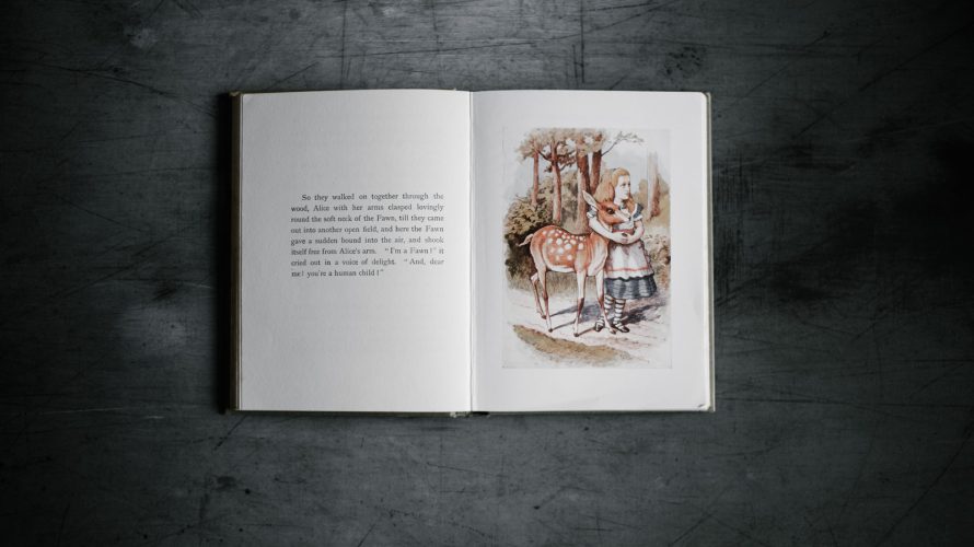 story book on gray surface