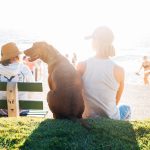 short-coated brown dog sit beside person wearing white tank top near beach during daytime